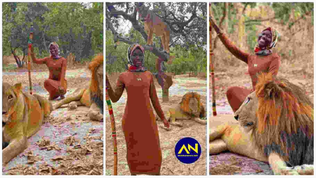 lady courageously posing with live Lions