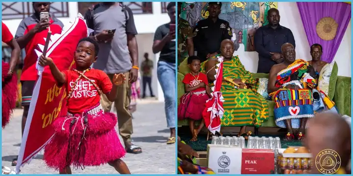 boy requests Otumfuo to hold his flag